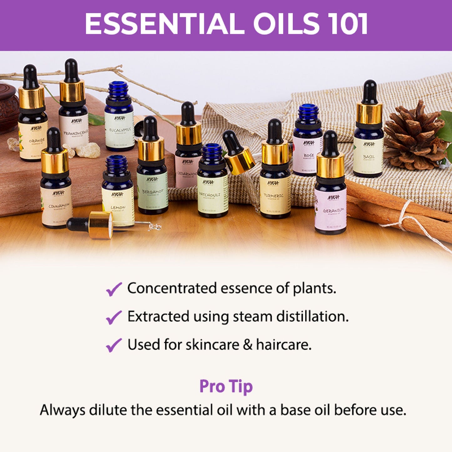 https://cdn.shopify.com/s/files/1/1857/6931/files/787aef48904245702045_5.jpg?v=1770721743