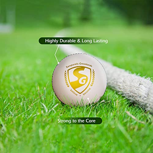 Image 6 of SG Leather Cricket Balls Shield 20 (White)