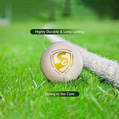 Image 6 of SG Leather Cricket Balls Shield 20 (White)