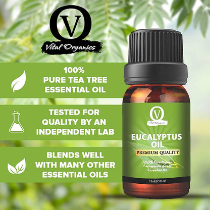 https://cdn.shopify.com/s/files/1/1857/6931/products/7K5miOepgM.jpg?v=1643017023