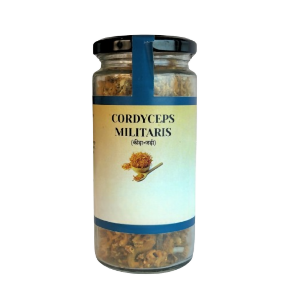 Image 3 of 100 gm for the product The Mush Supply Agro Farms Cordyceps Dried Fruiting Body