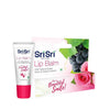 https://cdn.shopify.com/s/files/1/1857/6931/products/7REWXJCNYV.jpg?v=1639215634