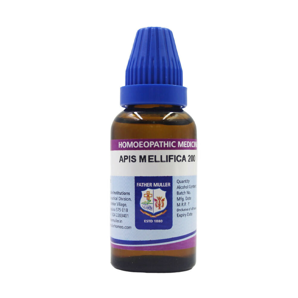 https://cdn.shopify.com/s/files/1/1857/6931/files/7RynjYopjk.jpg?v=1719034987