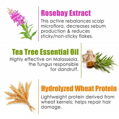 https://cdn.shopify.com/s/files/1/1857/6931/products/7UqMGTc2XK.jpg?v=1623326770