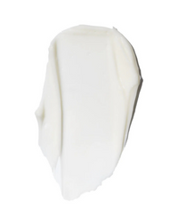https://cdn.shopify.com/s/files/1/1857/6931/files/7XrDFZt8Sy.png?v=1720524444