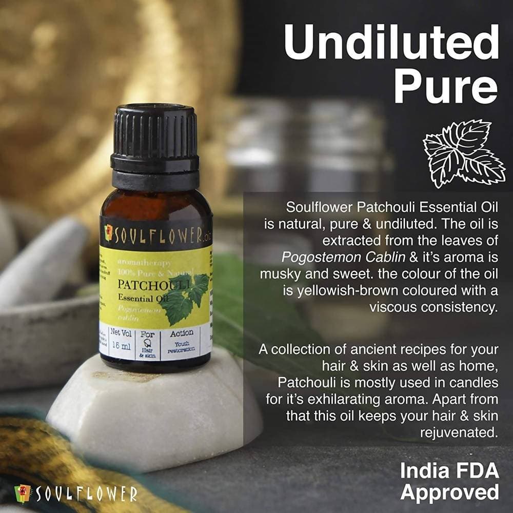 https://cdn.shopify.com/s/files/1/1857/6931/products/7YTQPTphyZ.jpg?v=1614911255