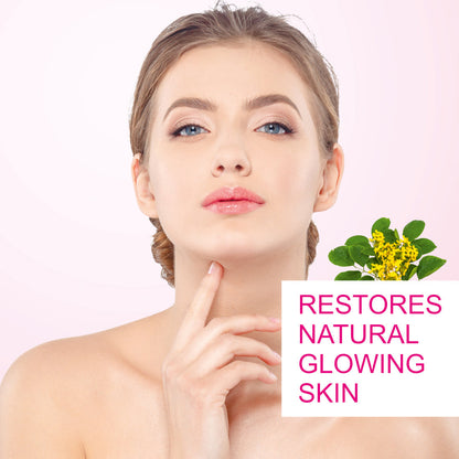 https://cdn.shopify.com/s/files/1/1857/6931/files/7_2004fb4b-c233-46ff-a605-684373b78381.jpg?v=1765546679