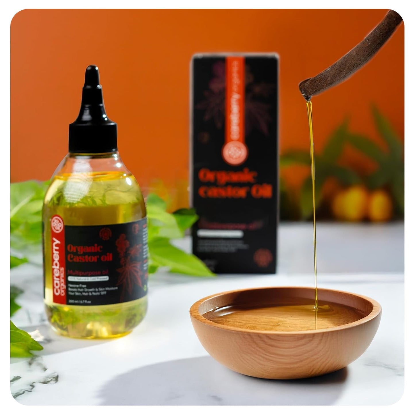 https://cdn.shopify.com/s/files/1/1857/6931/files/7_49b3f00d-64cf-4d29-9cef-7c68b8fb41d6.jpg?v=1745322613