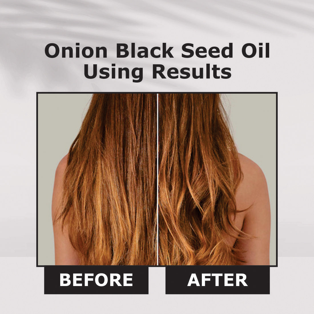 https://cdn.shopify.com/s/files/1/1857/6931/files/7_a9fd61d6-ab29-438f-a37a-f39aa1a1b669.jpg?v=1765546443