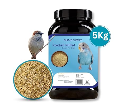 Image 7 of Foodie Puppies Foxtail Millet Kangni Seeds Bird Food - 5Kg