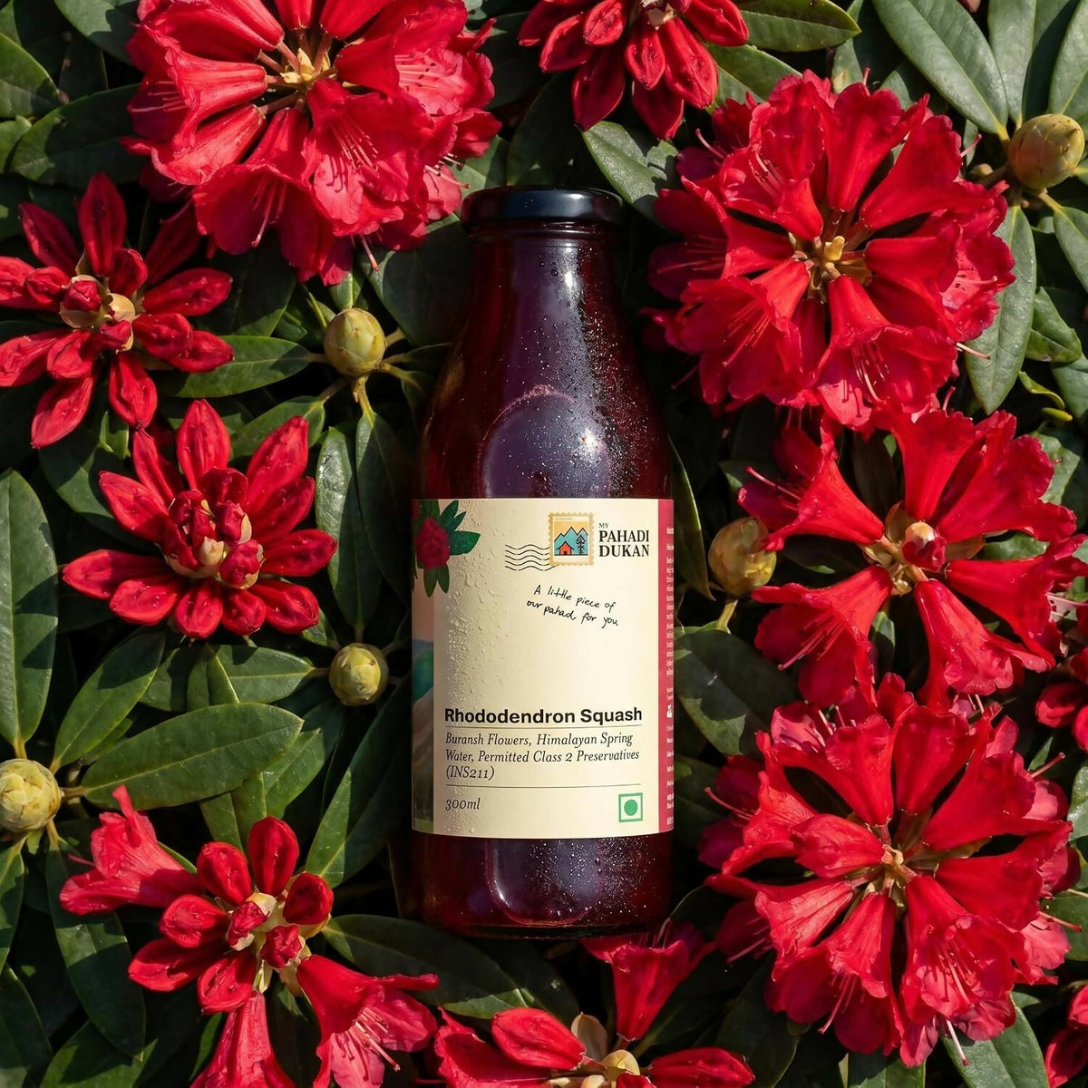 Image 2 of My Pahadi Dukan Buransh Sanjivni Flower Juice - Rhododendron Squash