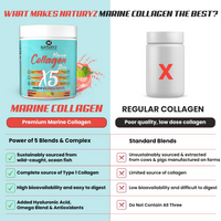 https://cdn.shopify.com/s/files/1/1857/6931/files/7bdfNQkIt8.png?v=1732275242