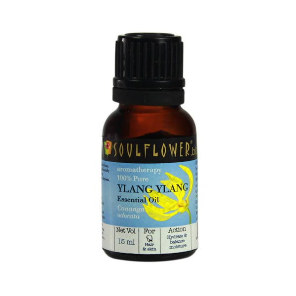https://cdn.shopify.com/s/files/1/1857/6931/products/7bslBS2yYM.jpg?v=1759272686