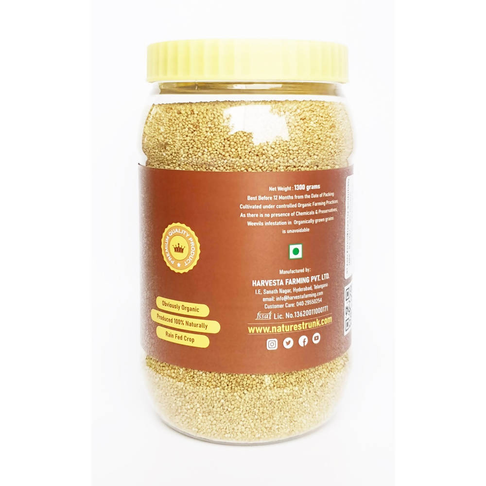 https://cdn.shopify.com/s/files/1/1857/6931/products/7c6kqt5eSu.jpg?v=1630031488