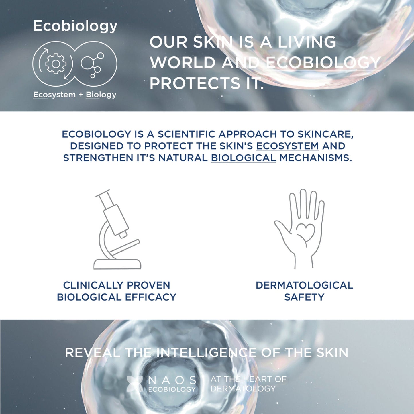 https://cdn.shopify.com/s/files/1/1857/6931/files/7c9d1b2BIODE00000033_9.jpg?v=1770297207
