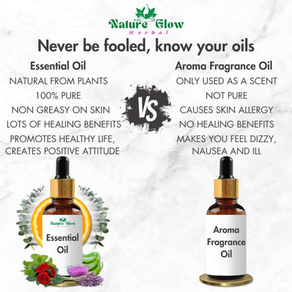 https://cdn.shopify.com/s/files/1/1857/6931/files/7d425ec8906143106901_6.jpg?v=1770707698