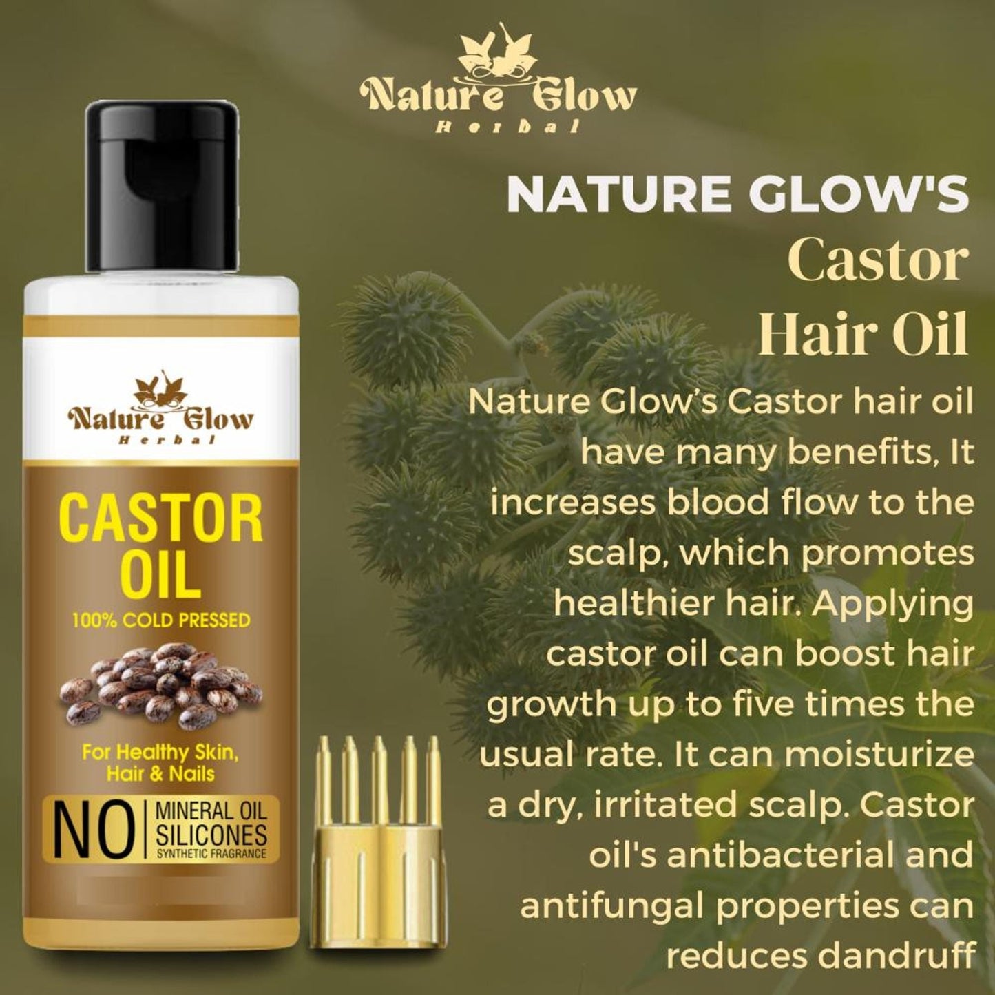 https://cdn.shopify.com/s/files/1/1857/6931/files/7d425ec8906143107229_2.jpg?v=1770707862