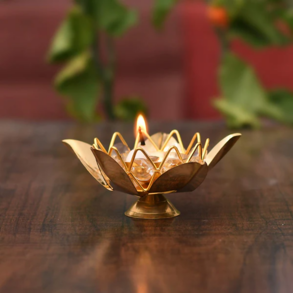 https://cdn.shopify.com/s/files/1/1857/6931/files/7eRbrjQCKS.png?v=1784711006
