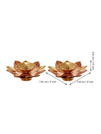 https://cdn.shopify.com/s/files/1/1857/6931/products/7gihZ4nFsJ.jpg?v=1706179453