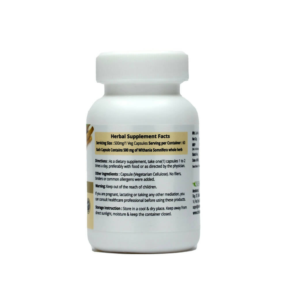 https://cdn.shopify.com/s/files/1/1857/6931/products/7i6UsCEcXI.jpg?v=1669877399
