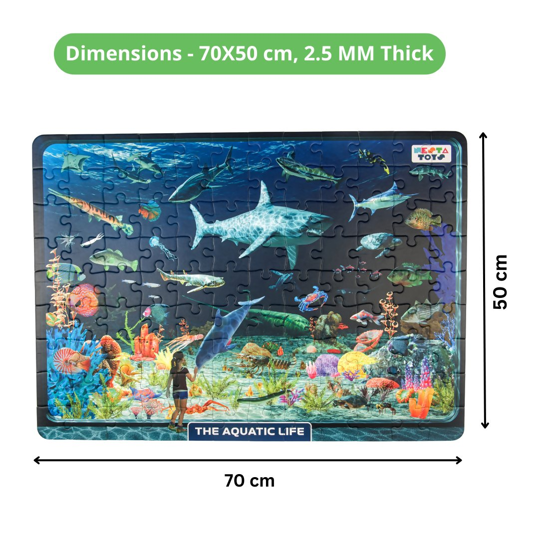 https://cdn.shopify.com/s/files/1/1857/6931/files/7m3mPe37I5.png?v=1754617635