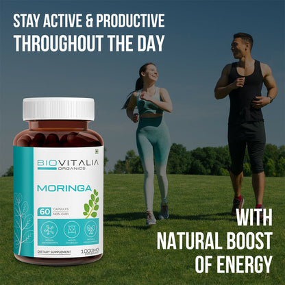 https://cdn.shopify.com/s/files/1/1857/6931/files/7n06jKjMLr.jpg?v=1727415707