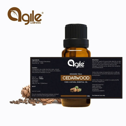 https://cdn.shopify.com/s/files/1/1857/6931/files/7qDHvYur8j-236259.jpg?v=1736144036