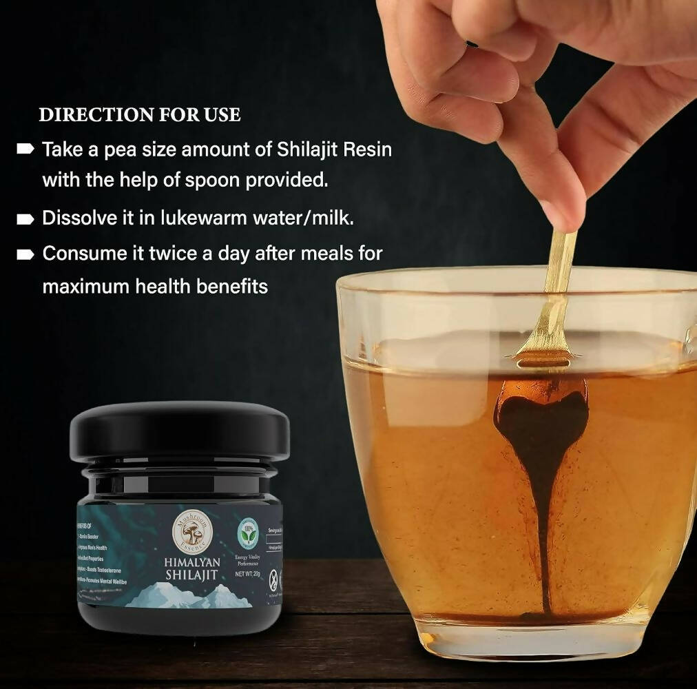 https://cdn.shopify.com/s/files/1/1857/6931/products/7txDsF902b.jpg?v=1694412958