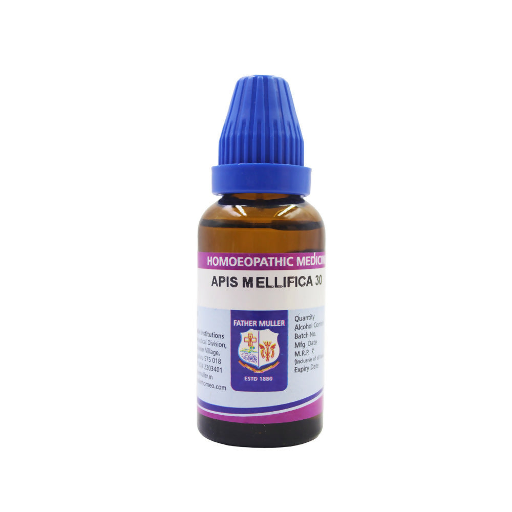https://cdn.shopify.com/s/files/1/1857/6931/files/7ueH4tLyQG.jpg?v=1719034987