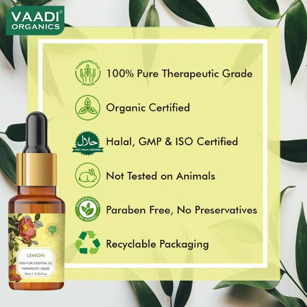 https://cdn.shopify.com/s/files/1/1857/6931/products/7voxqLqR5o.jpg?v=1618540028