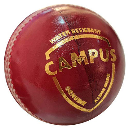 Image 1 of Default Title for the product SG Campus Four Piece Leather Cricket Ball - Red, Club Size