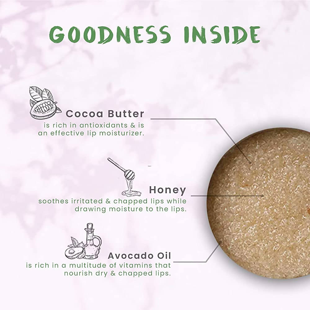 https://cdn.shopify.com/s/files/1/1857/6931/products/80Kmd6YB9D.jpg?v=1649322827