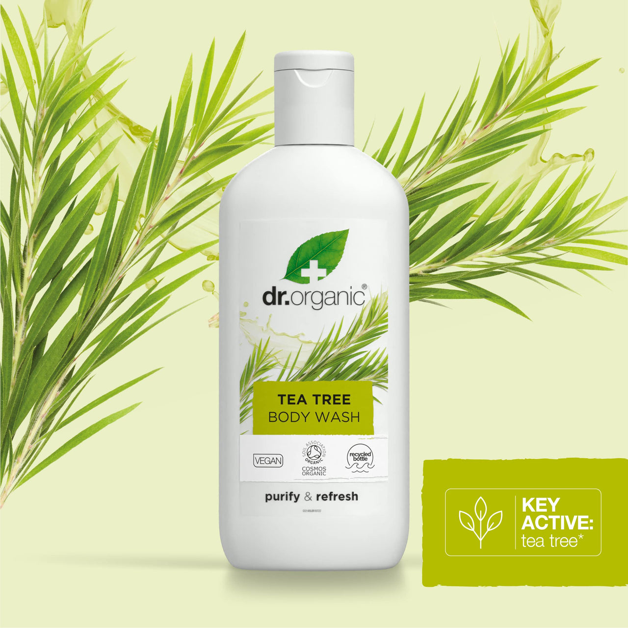 https://cdn.shopify.com/s/files/1/1857/6931/files/81HmLJZ4rwL.jpg?v=1745299892