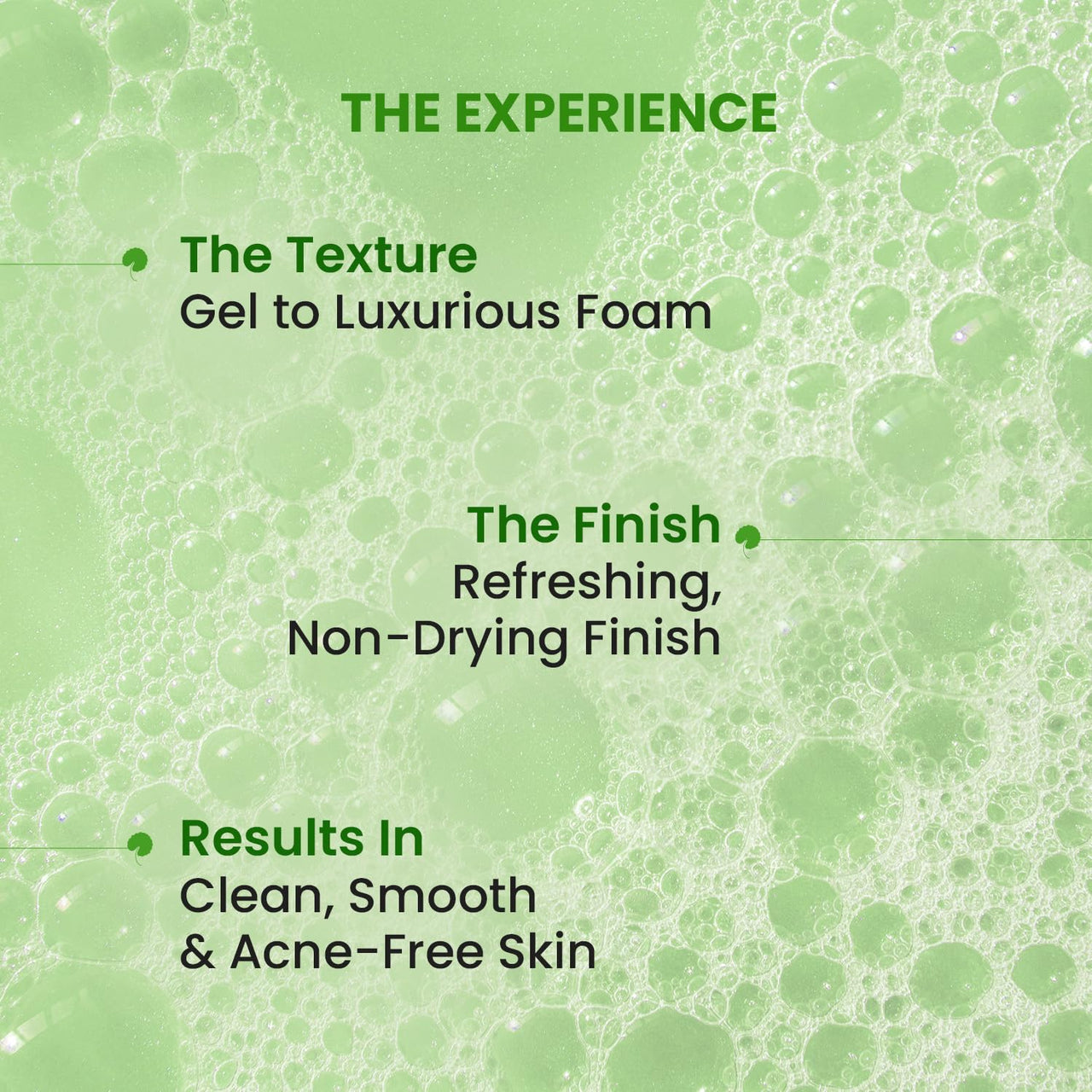 https://cdn.shopify.com/s/files/1/1857/6931/files/81IBA8YXnmL._SL1500.jpg?v=1765012772