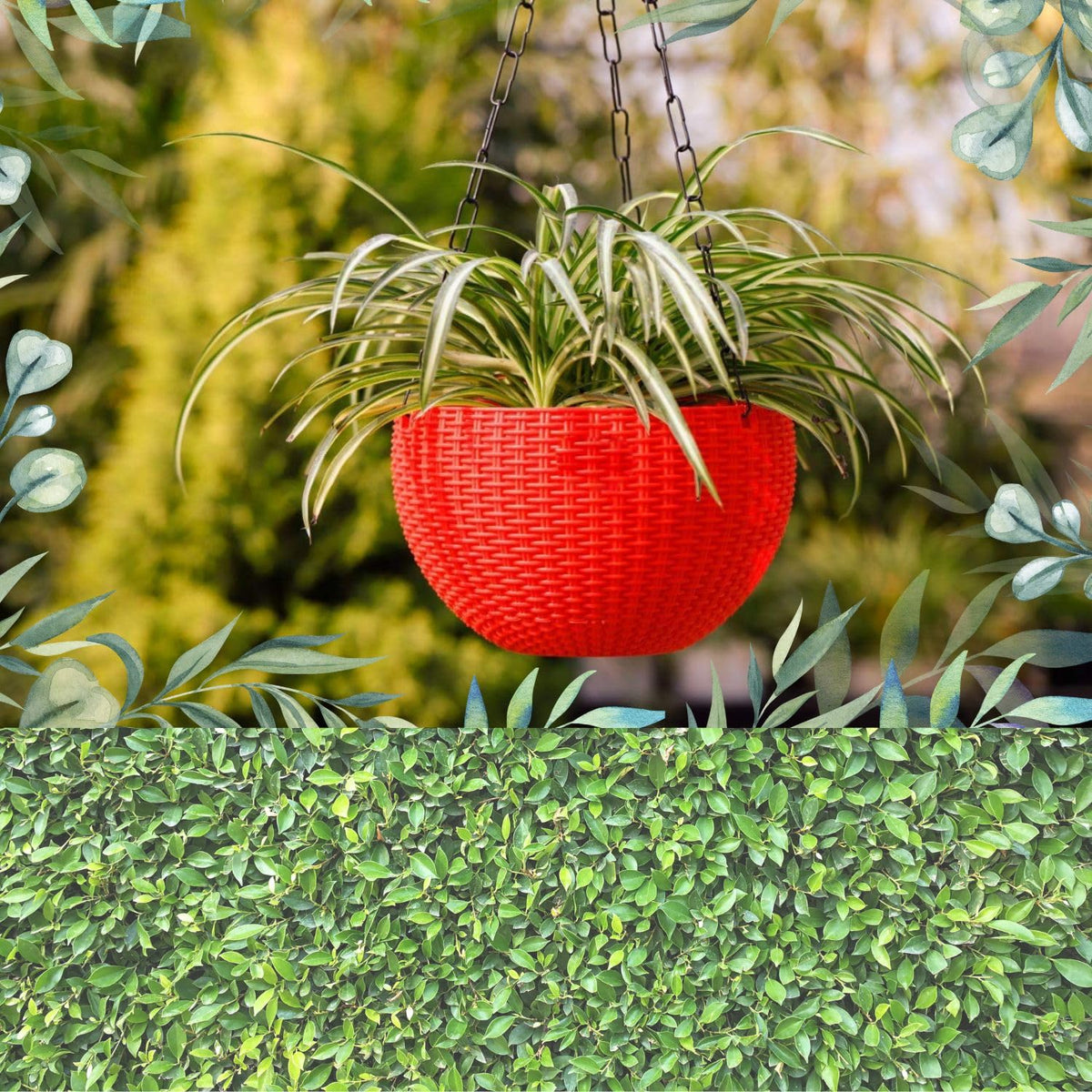 Image 2 of Go Hooked Plastic Hanging Pots, Multicolour, Diameter 7.1 Inch, Height 4.8 Inch, Thickness 3 mm, Chain Length 33cm Approx, 6 Pieces