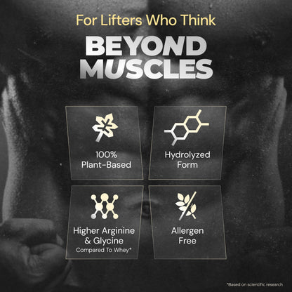 https://cdn.shopify.com/s/files/1/1857/6931/files/81ZEnfnTSSL.jpg?v=1776335007