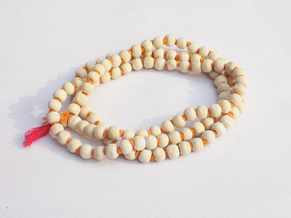 https://cdn.shopify.com/s/files/1/1857/6931/products/81ia-LDZtsL._SL1500.jpg?v=1637841161