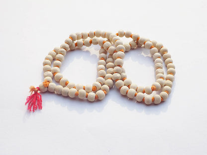 https://cdn.shopify.com/s/files/1/1857/6931/products/81lq8GqDz3L._SL1500.jpg?v=1637841161