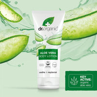https://cdn.shopify.com/s/files/1/1857/6931/files/81q53bNuEML._SL1500.jpg?v=1716461329