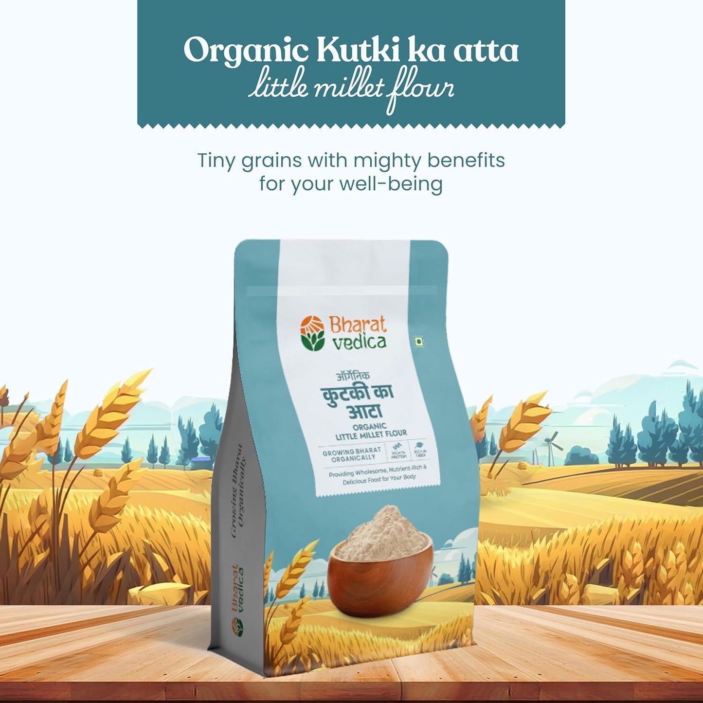 https://cdn.shopify.com/s/files/1/1857/6931/files/81sWe8vMOxL._SL1500.jpg?v=1775047379