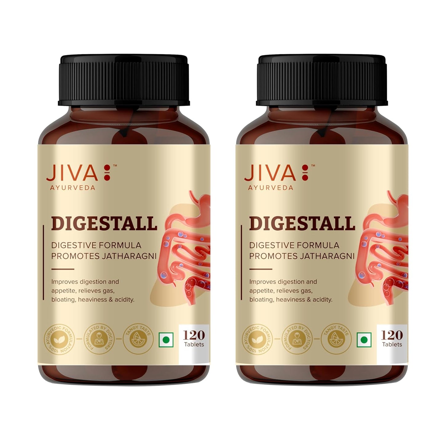 https://cdn.shopify.com/s/files/1/1857/6931/files/81xEIVJZTnL._SL1500.jpg?v=1766376497