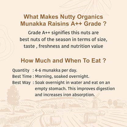 Image 7 of NUTTY ORGANICS Munaka Raisins 1000 GM