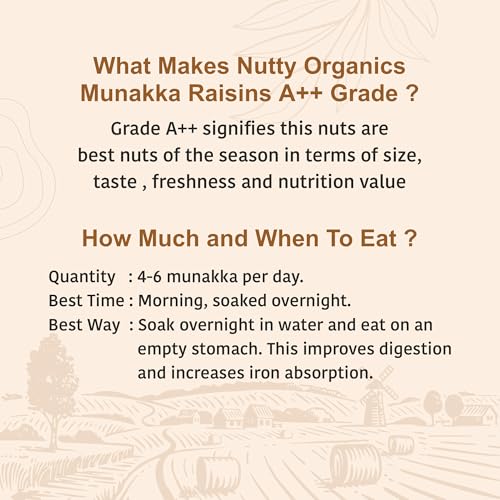 Image 5 of NUTTY ORGANICS Munaka Raisins 250 Gm