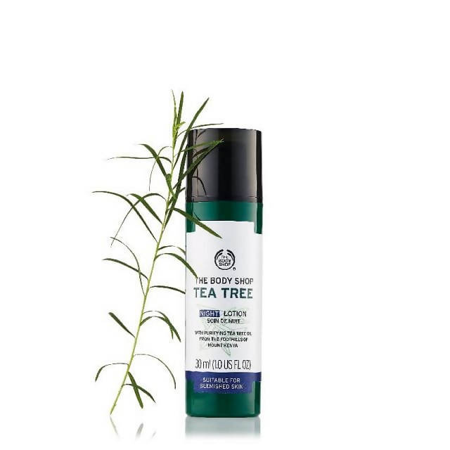 https://cdn.shopify.com/s/files/1/1857/6931/products/82hQeew9vA.jpg?v=1629801497