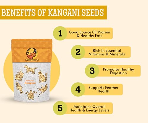 Image 3 of Foodie Puppies Foxtail Millet Kangni Seeds Bird Food - 2Kg Pouch