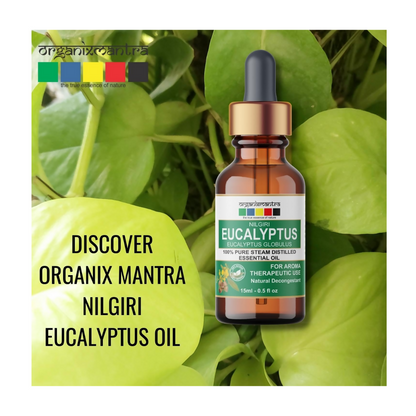 https://cdn.shopify.com/s/files/1/1857/6931/files/84bwYP9u13.png?v=1723114201