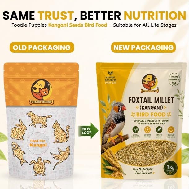Image 2 of Foodie Puppies Foxtail Millet Kangni Seeds Bird Food - 2Kg Pouch