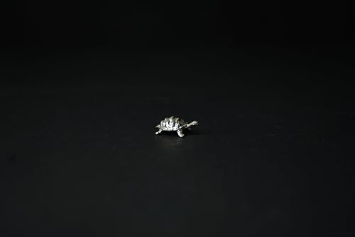 Image 3 of Dista Silvers Tortoise Idol 6.76 Grams
