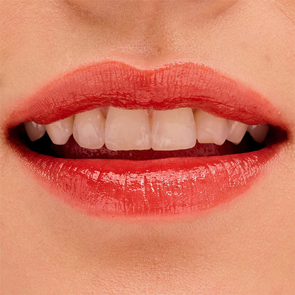 https://cdn.shopify.com/s/files/1/1857/6931/files/8746ae5602004148155-8.jpg?v=1769079413