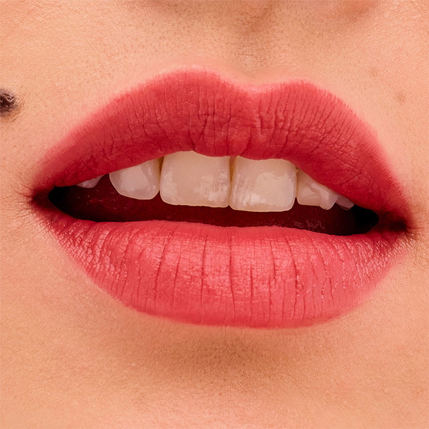 https://cdn.shopify.com/s/files/1/1857/6931/files/8746ae5602004149138-8.jpg?v=1769079265